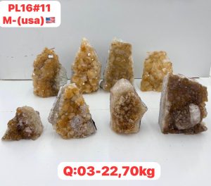 AUGUST 2026 PL1611 CITRINE CUTBASE CASE