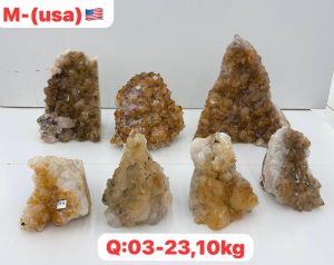 AUGUST 2026 PL1811 CITRINE CUTBASE CASE