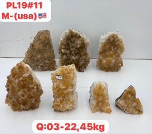 AUGUST 2026 PL1911 CITRINE CUTBASE CASE