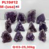 pl1912