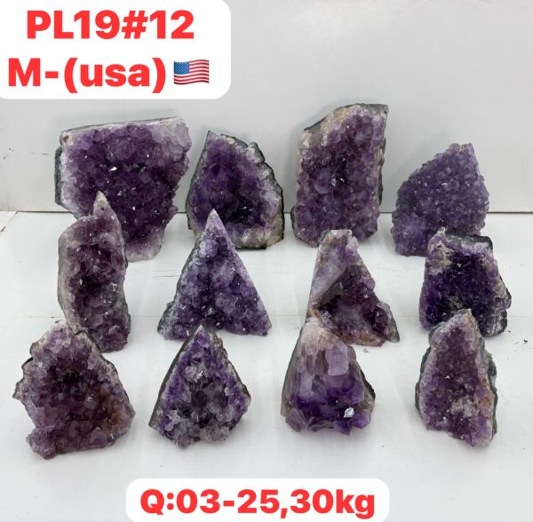 pl1912