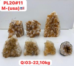 AUGUST 2026 PL2011 CITRINE CUTBASE CASE