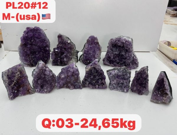 pl2012