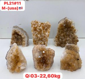 AUGUST 2026 PL2111 CITRINE CUTBASE CASE