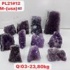 pl2112