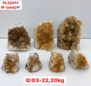 AUGUST 2026 PL2211 CITRINE CUTBASE CASE