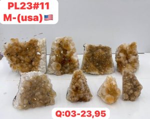 AUGUST 2026 PL2311 CITRINE CUTBASE CASE