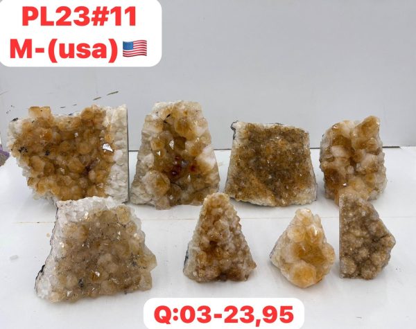 pl2311