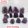 pl2312
