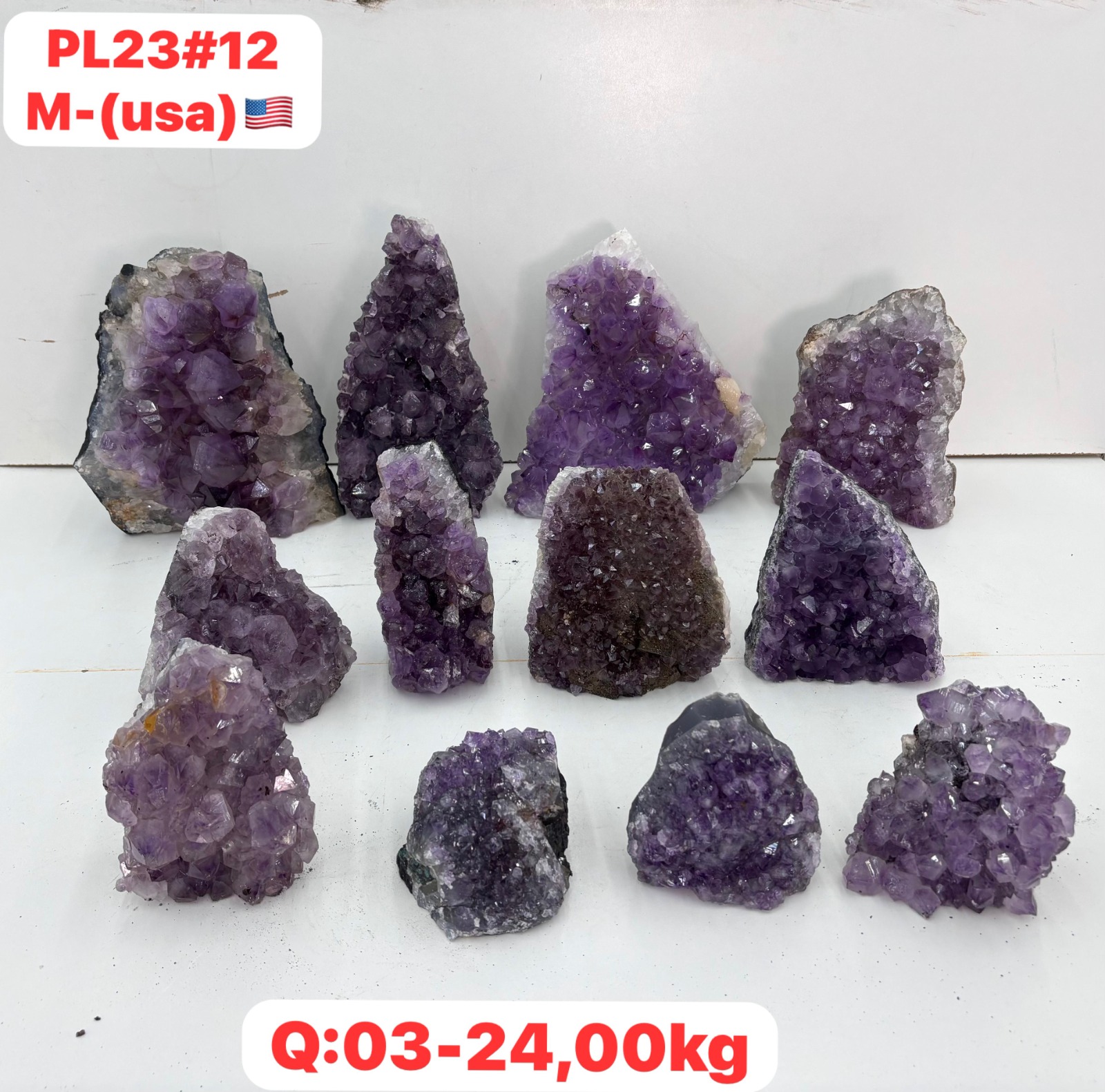 pl2312