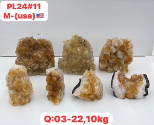 AUGUST 2026 PL2411 CITRINE CUTBASE CASE
