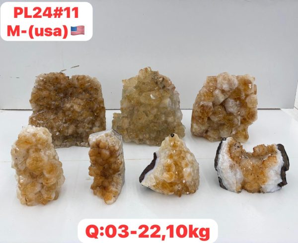 pl2411