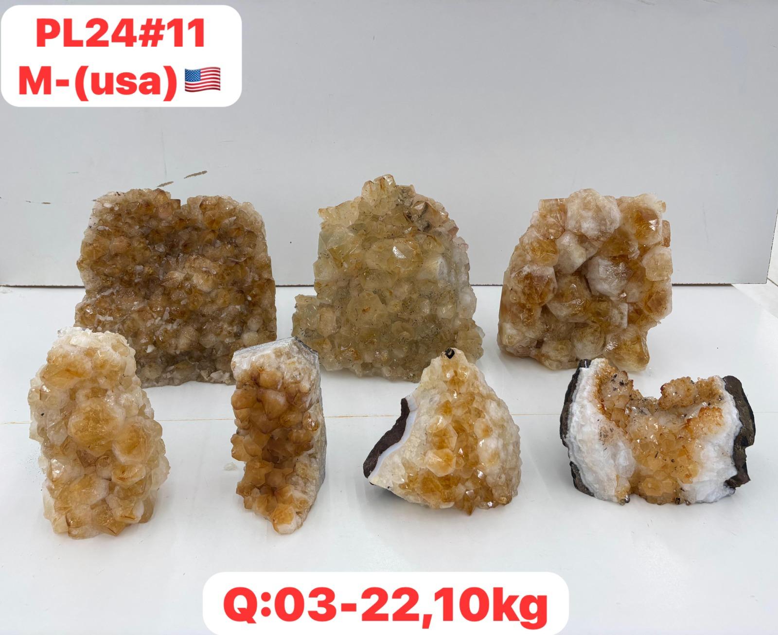 pl2411