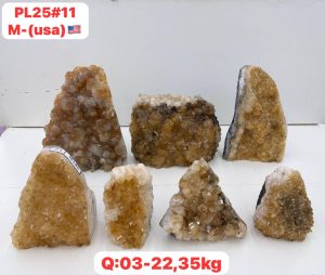 AUGUST 2026 PL2511 CITRINE CUTBASE CASE