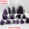 pl2512