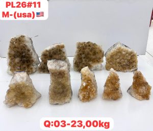 AUGUST 2026 PL2611 CITRINE CUTBASE CASE