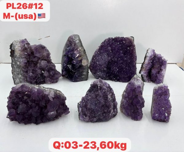pl2612