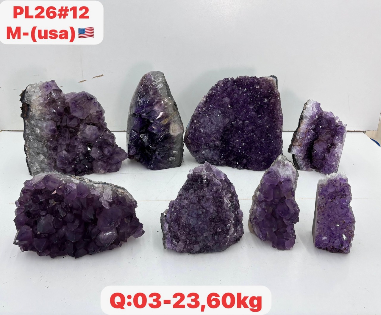 pl2612