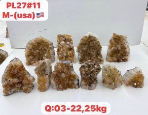 AUGUST 2026 PL2711 CITRINE CUTBASE CASE