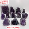 pl2812