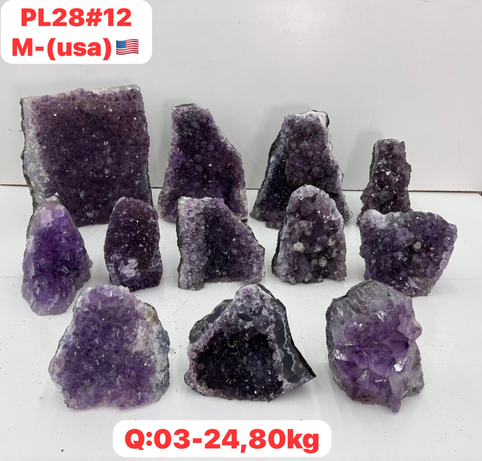 pl2812