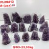pl2912